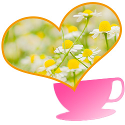 カモミール茶